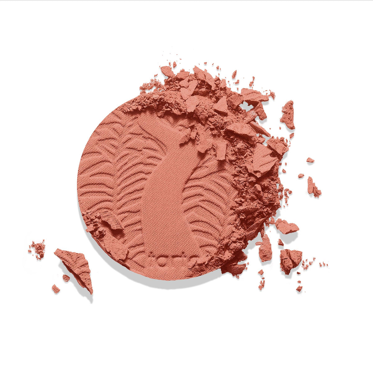 tarte blush next to coin showing actual size for travel-friendly benefit