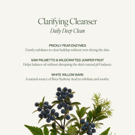 Tata Harper chlorella ingredient display conveying nourishing, natural support