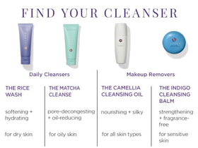 TATCHA camellia flower close-up illustrating traditional ingredient and moisturizing benefit