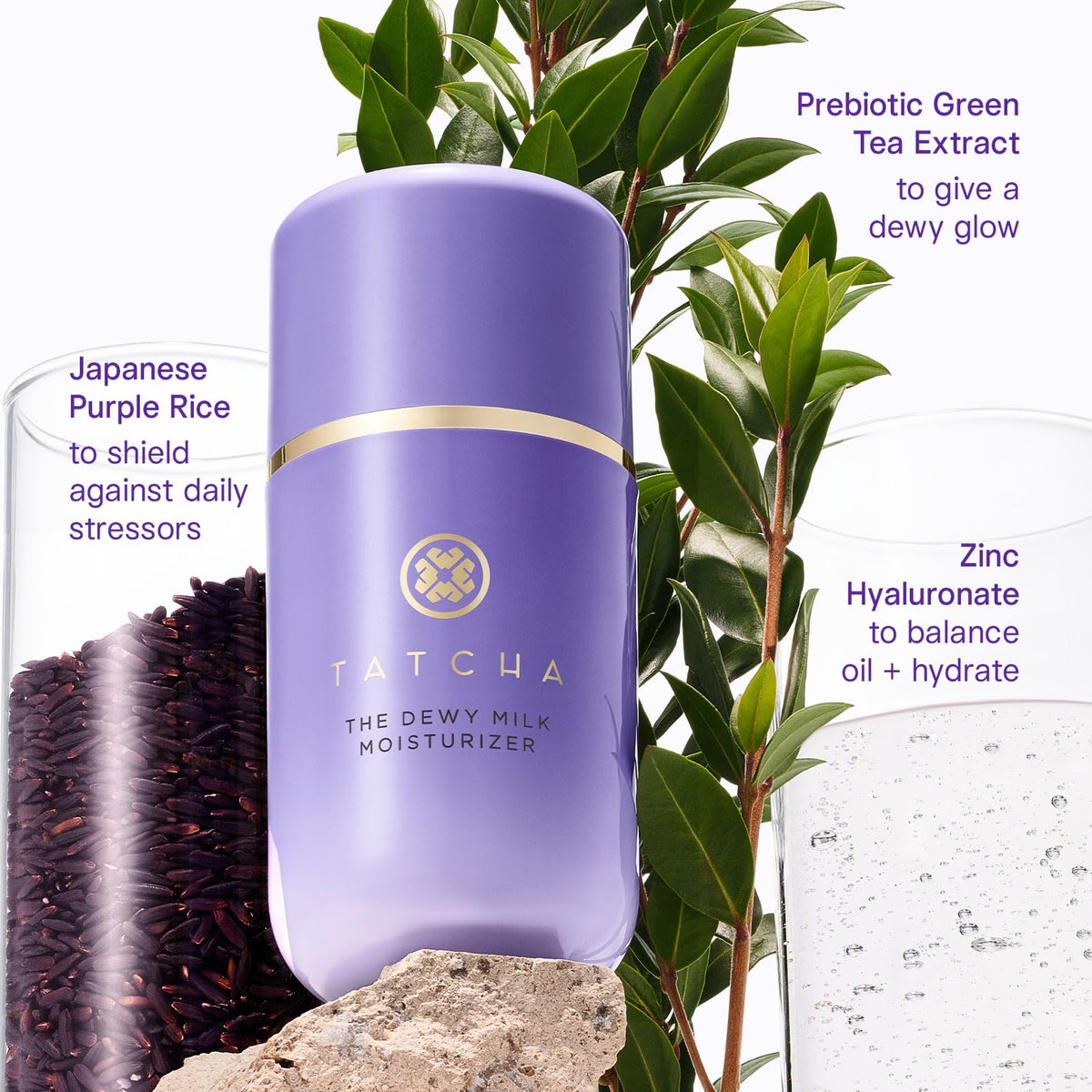 TATCHA jar beside botanical ingredients highlighting gentle, effective formula