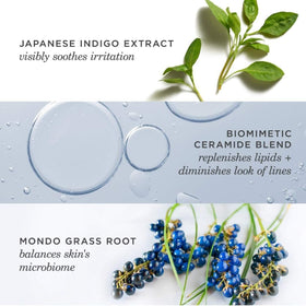 TATCHA illustration of skin barrier layers to show hydration and lipid repair