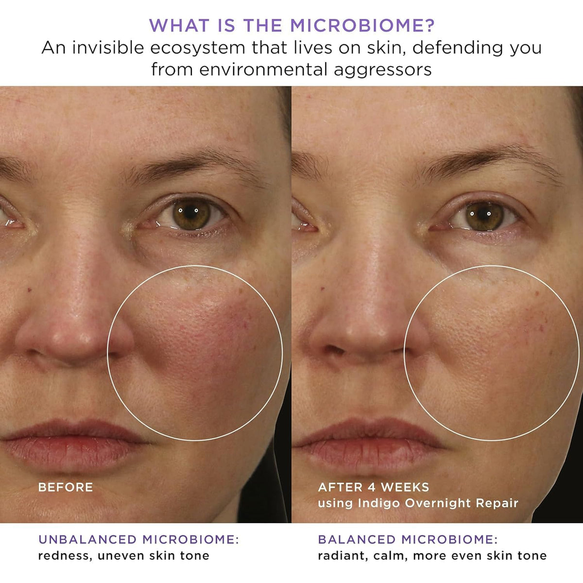 TATCHA indigo plant close-up highlighting calming botanical ingredient benefits
