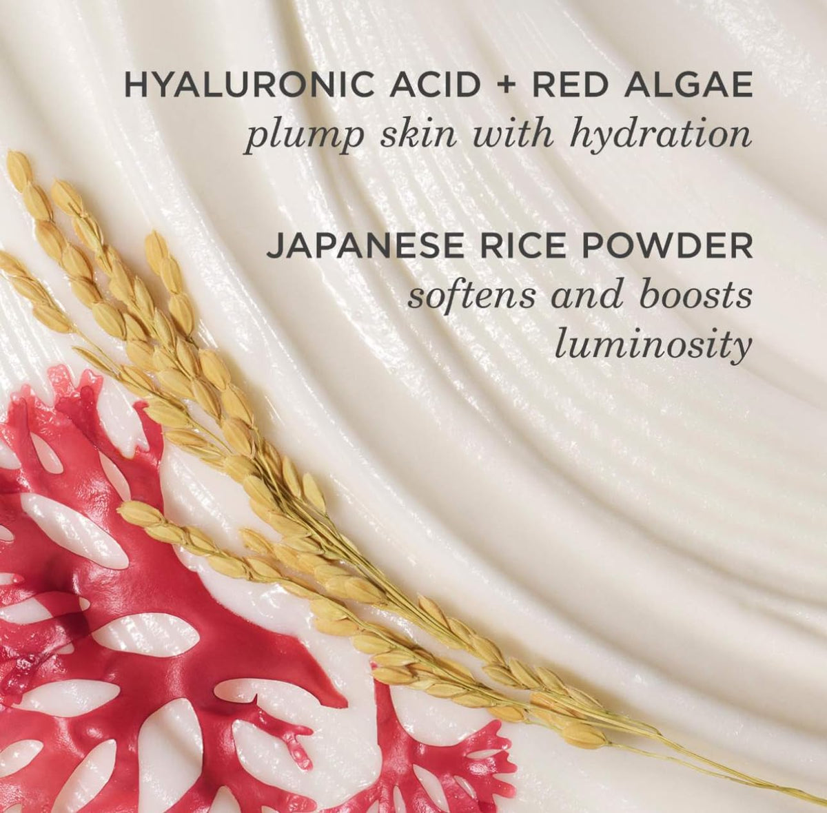 TATCHA rice powder and algae ingredients styled to show brightening and hydration benefit