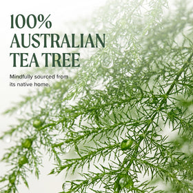 Tea Tree dabbed on neck after shaving showing soothing, cooling benefit