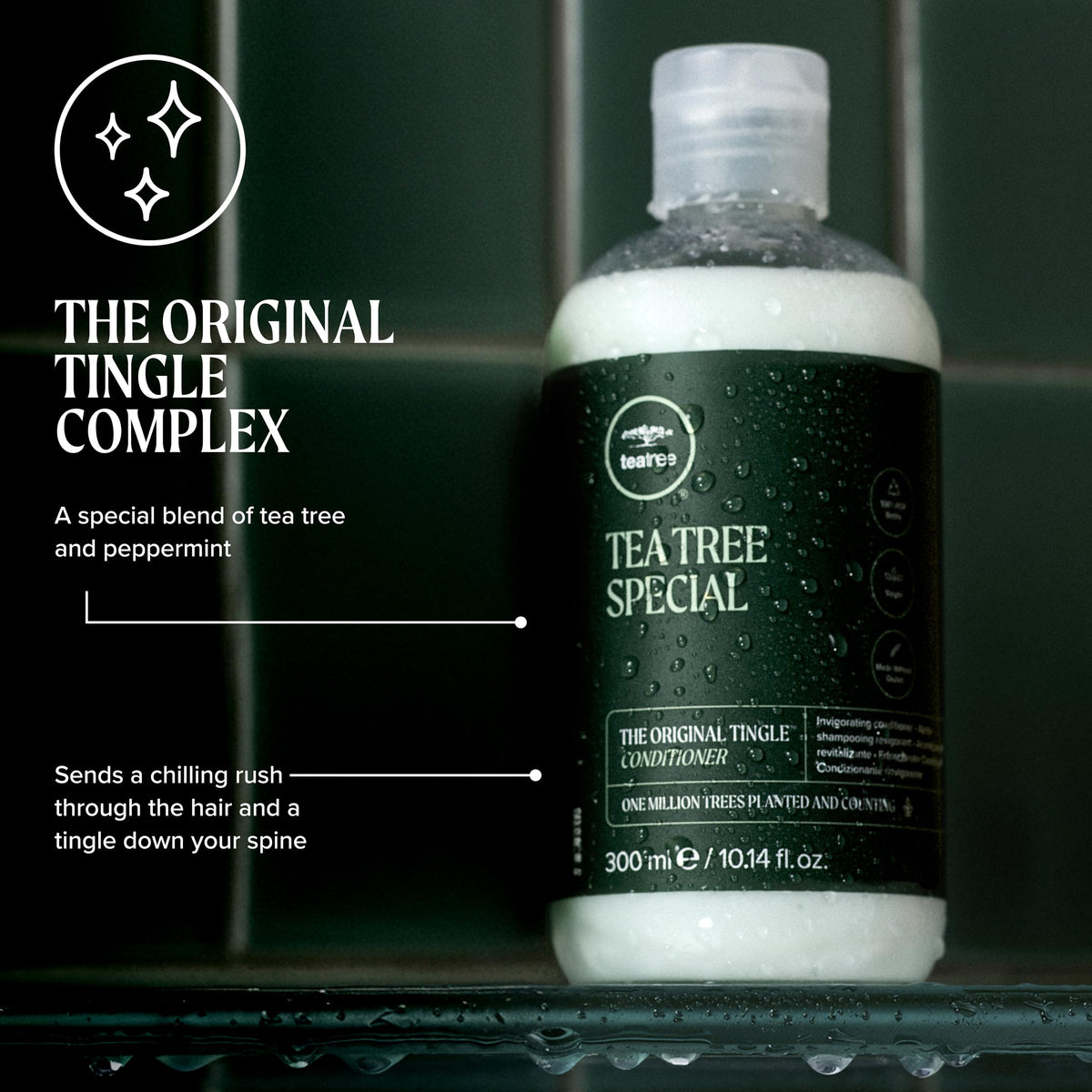Tea Tree botanical ingredients close-up conveying natural extracts and scalp-refreshing benefit