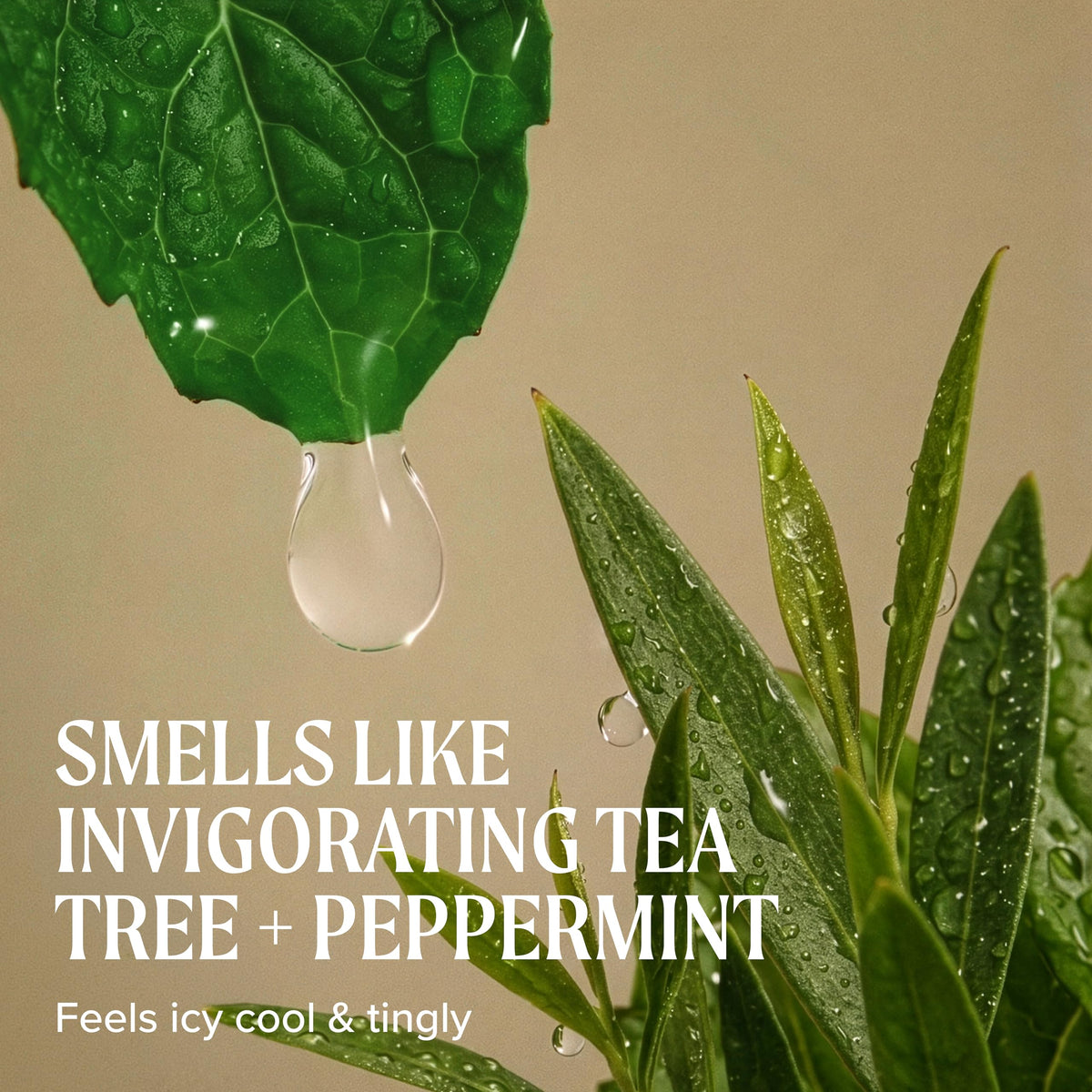 Tea Tree cream texture close-up revealing smooth moisturizing consistency