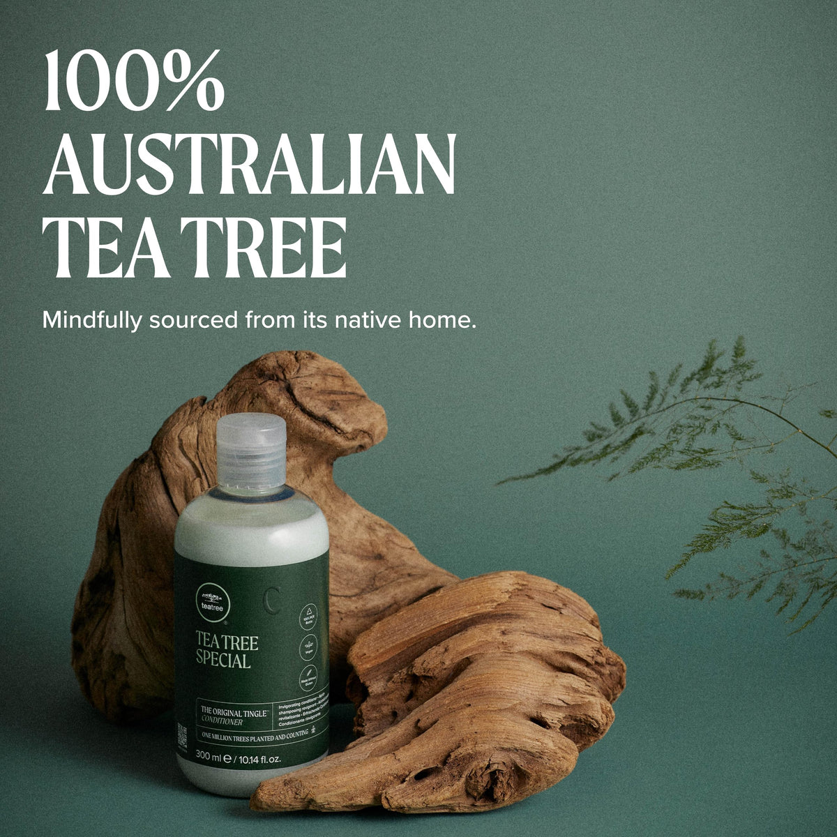 Tea Tree conditioner in use in shower demonstrating detangling and smooth finish
