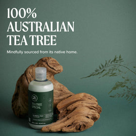 Tea Tree conditioner in use in shower demonstrating detangling and smooth finish