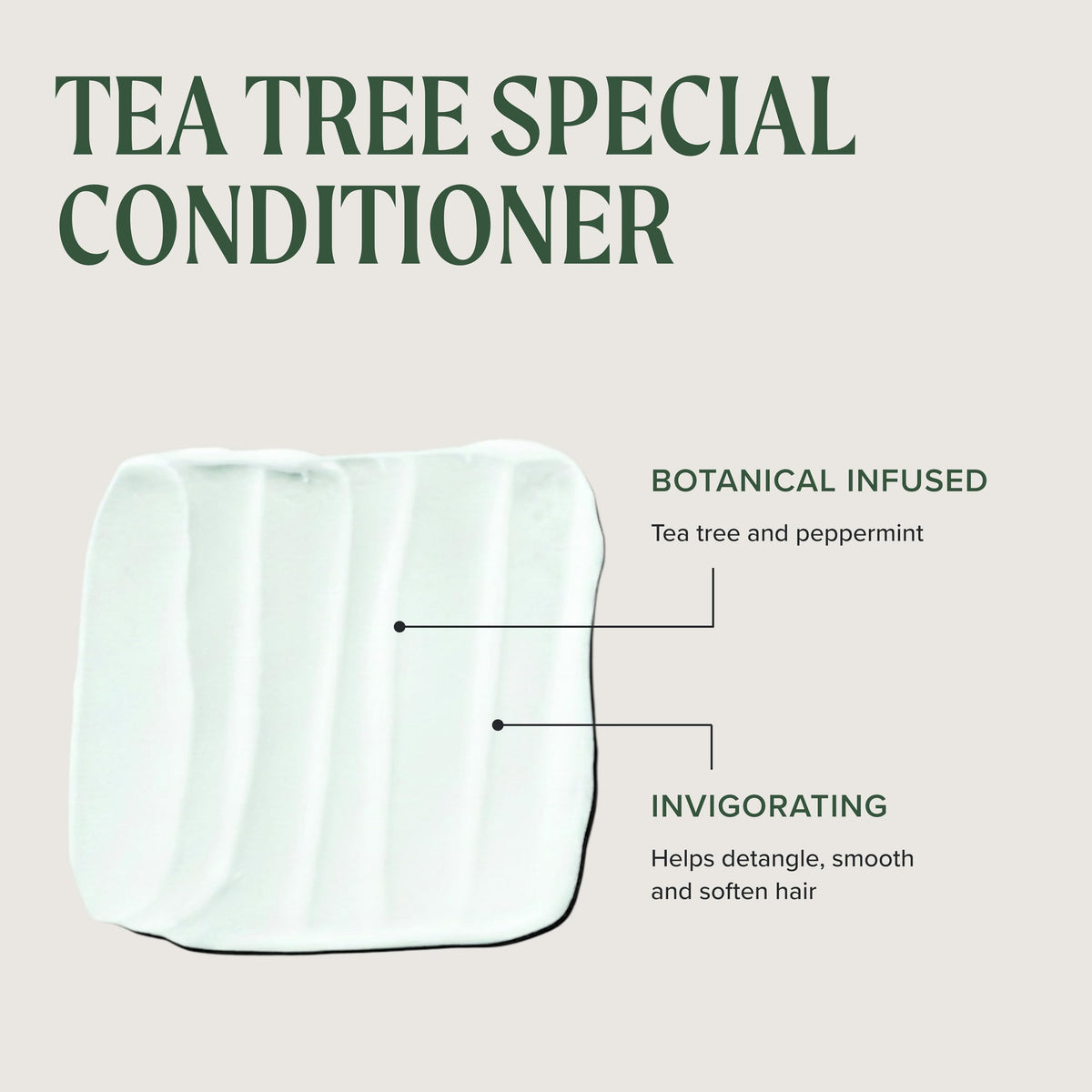 Tea Tree label ingredient callout highlighting tea tree sourcing and transparency