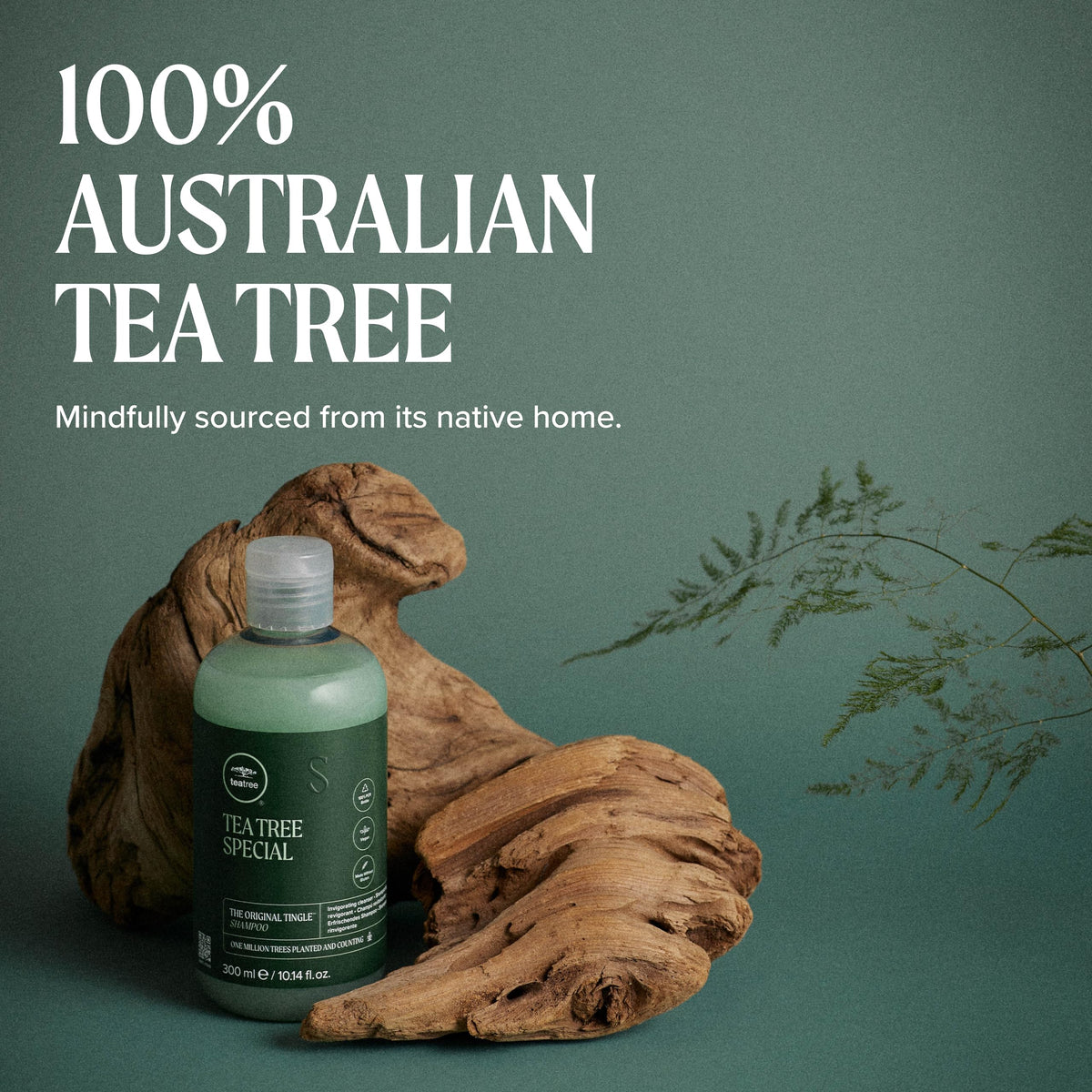 Tea Tree shampoo lather in hand demonstrating foaming action and easy distribution