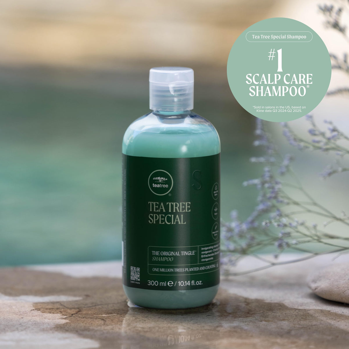 Size comparison of Tea Tree shampoo beside common household bottle