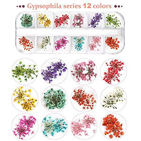 Teenitor open container layout with 12 snap-lid sections keeping flowers sorted and protected