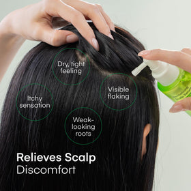 TEREZ & HONOR seaweed ingredients display emphasizing botanical nourishment and scalp support