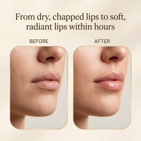 Terra Lotus balm texture swirl with olive oil sheen for rich hydration