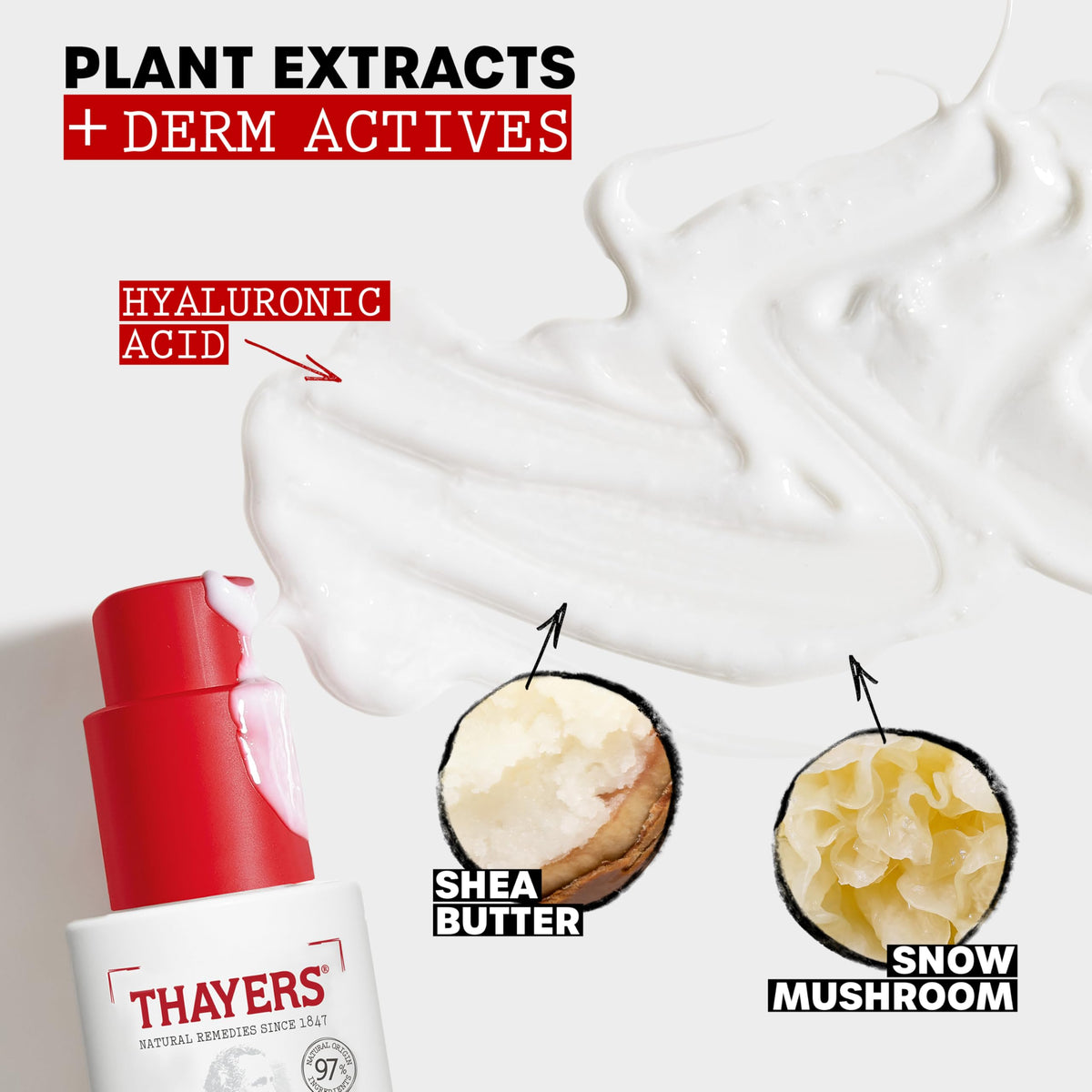 THAYERS product being applied on hand demonstrating quick sinking hydration and non-greasy feel