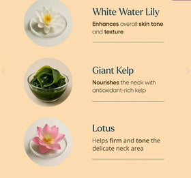 The Ayurveda Experience evening routine scene promoting overnight wear