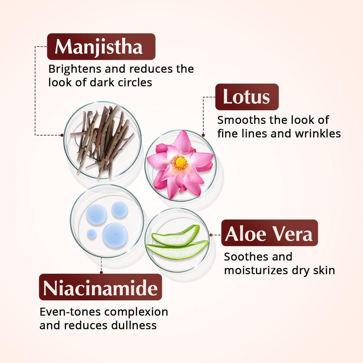 The Ayurveda Experience Rufolia applied on hand demonstrating lightweight, non-greasy feel