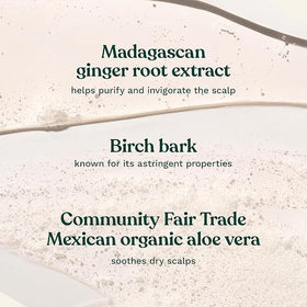The Body Shop ginger shampoo held in hand for size reference, showing travel-friendly 13.5 oz
