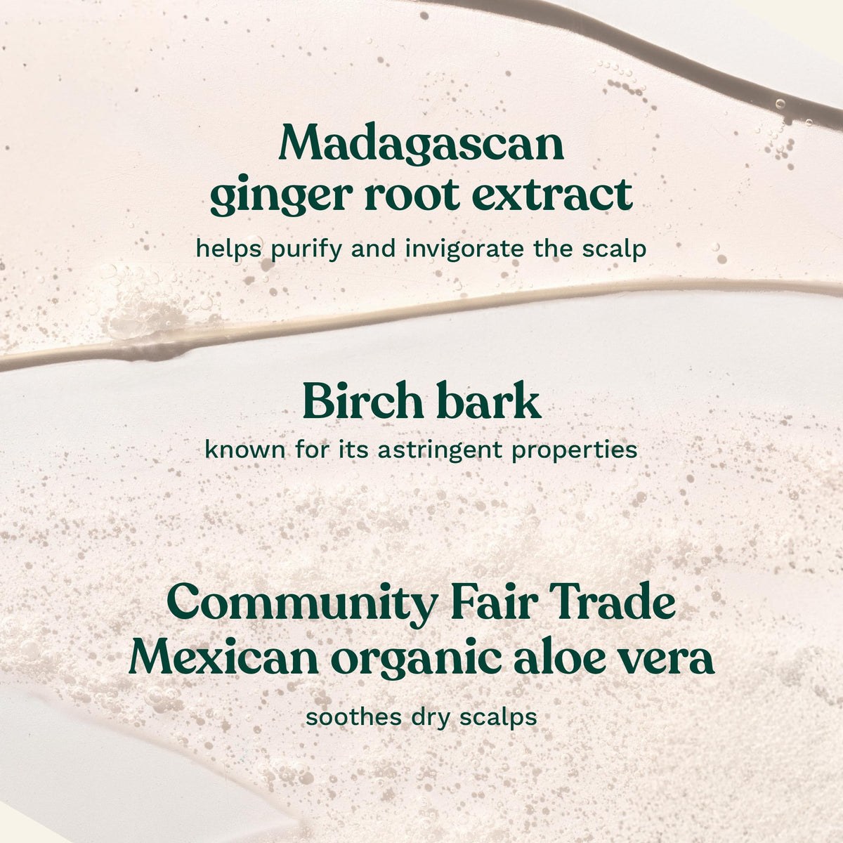 The Body Shop creamy shampoo lather texture showing gentle cleansing benefits