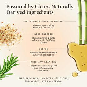 Shaking The Earthling Co. onto roots for instant oil absorption and lift