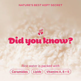 THE FACE SHOP pack label and ingredient list highlighting rice extract