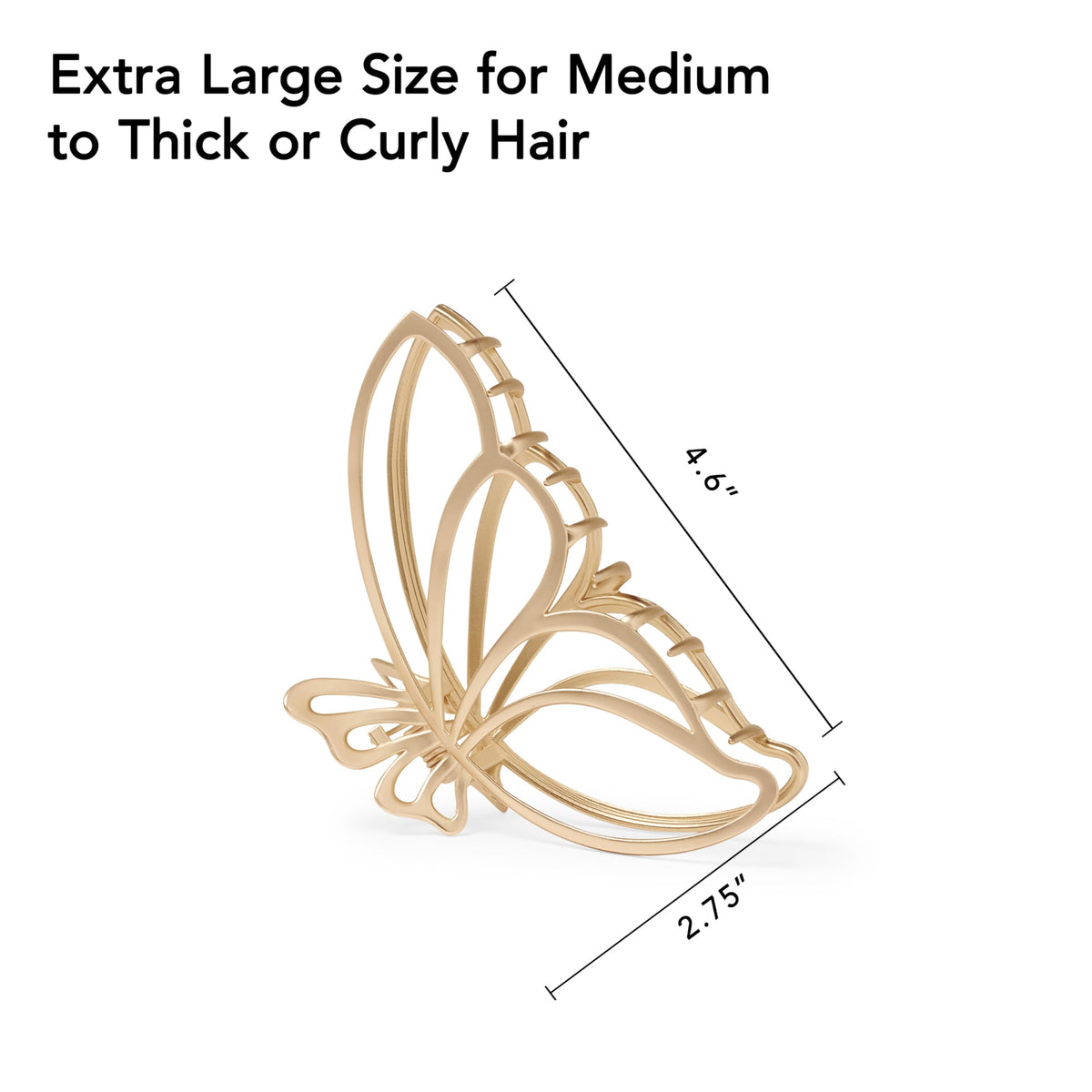 The Hair Edit size comparison in hand demonstrates large capacity for long hair