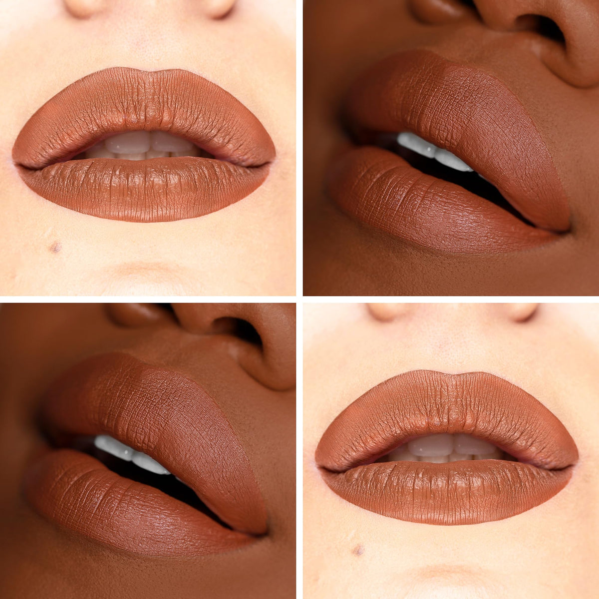 The Lip Bar Naturalista on lips showing soft brown shade and flattering finish