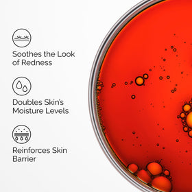 The Ordinary close-up label showing Pycnogenol 5% ingredient detail and product clarity