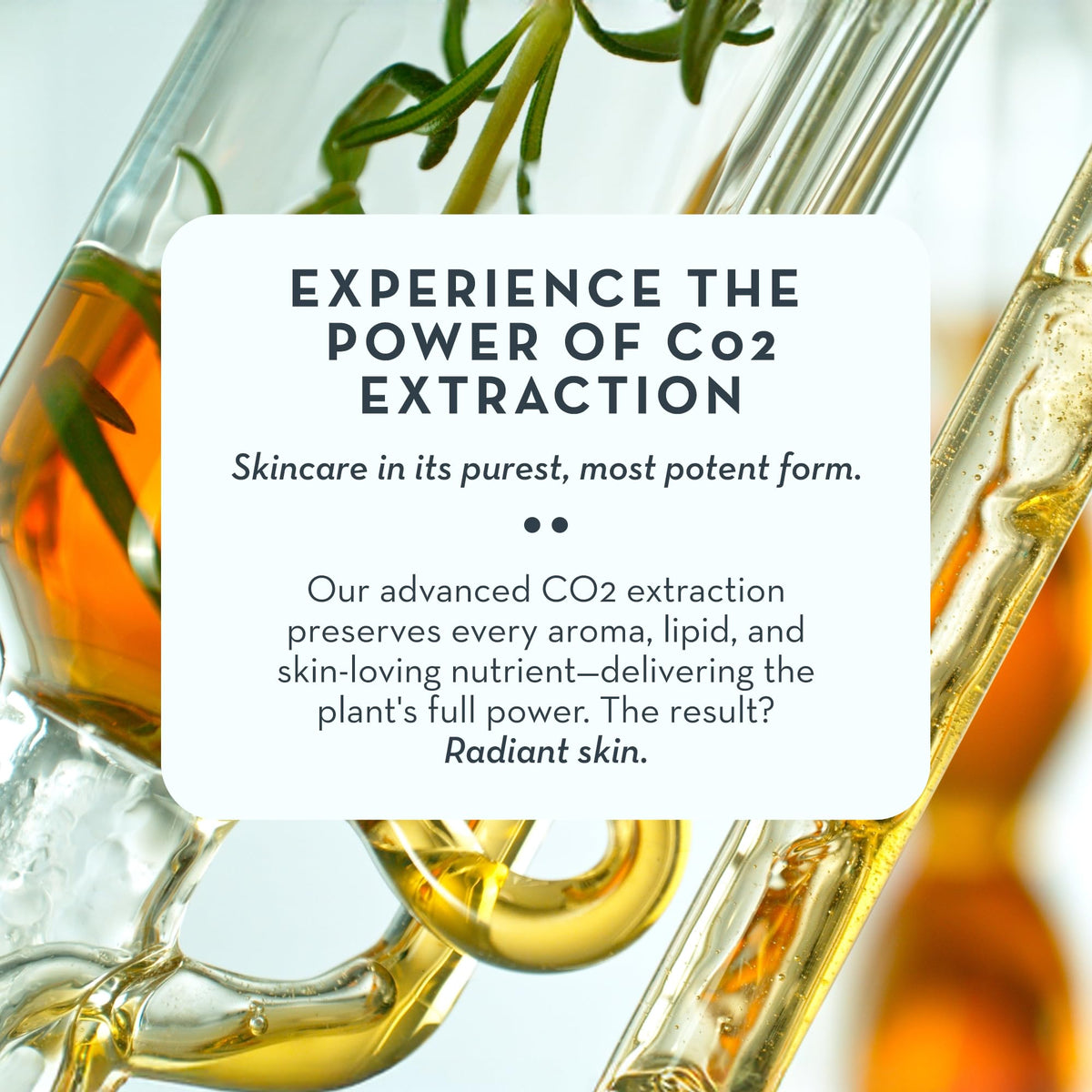 The Organic Skin Co. ingredients label highlighting CO2 extracts and organic botanicals