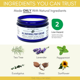 The Yellow Bird ingredient layout with shea, coconut, beeswax for nourishment