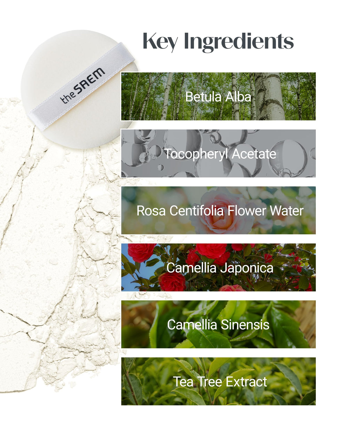THESAEM compact beside coin showing size and portability benefit