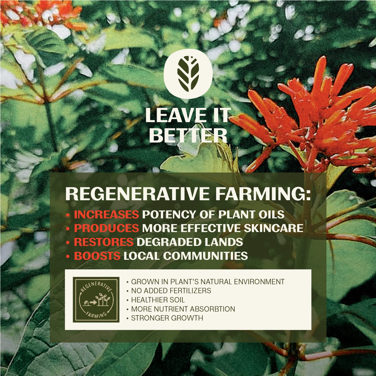 Thrive Natural Care face sunscreen texture close-up demonstrating quick absorption