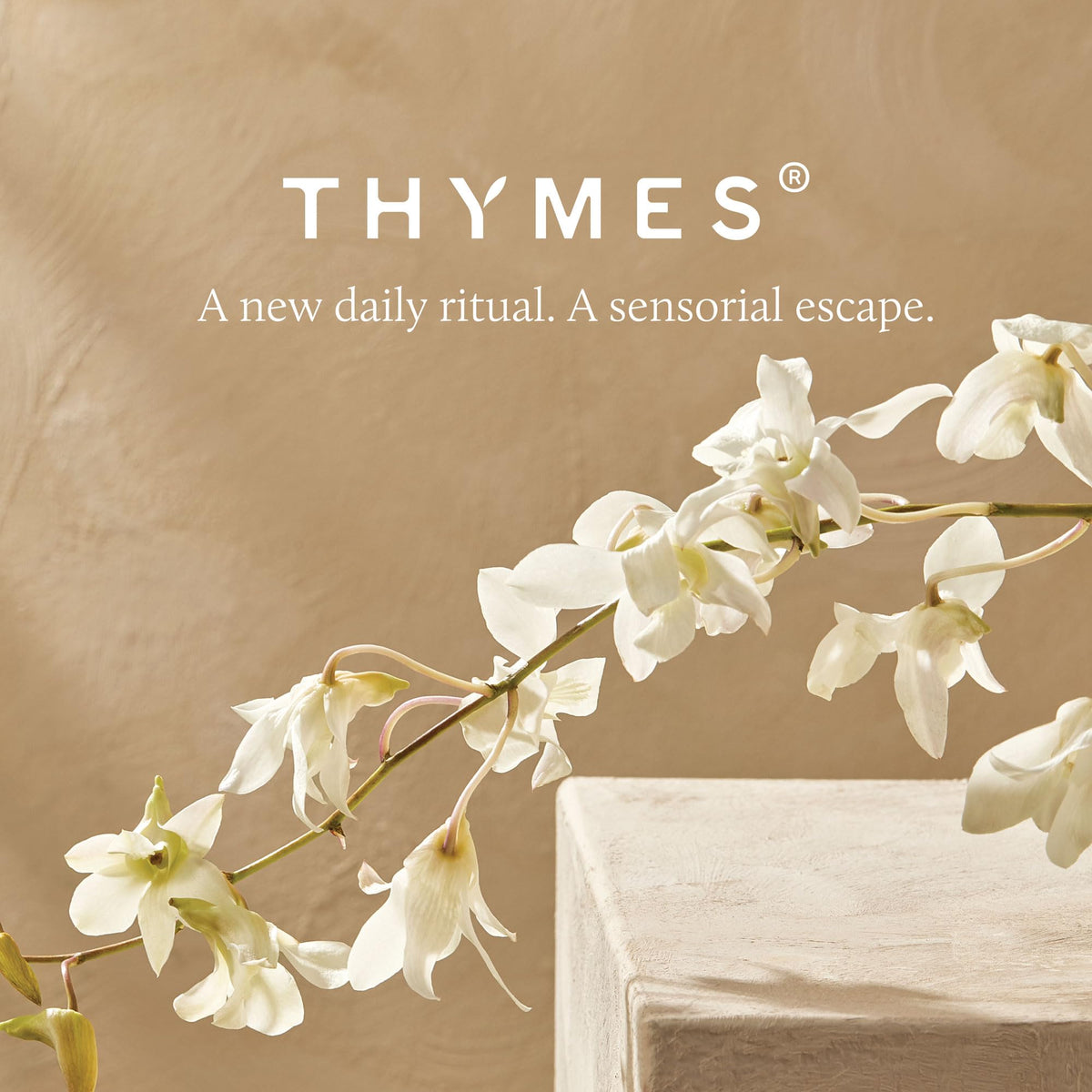 Thymes eucalyptus lifestyle bathroom shelf conveying spa-like aroma and daily use