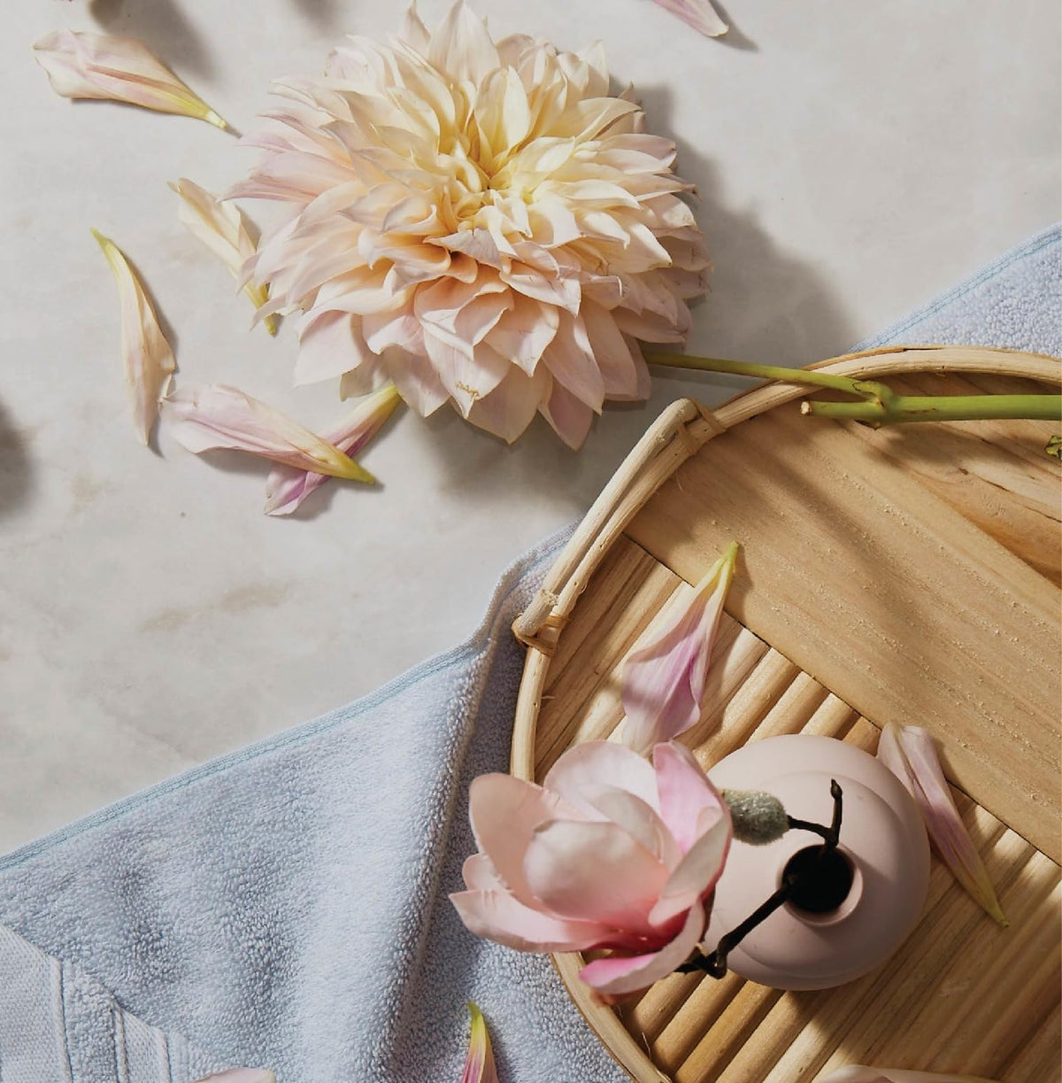 Thymes Kimono Rose ingredient focus image showing sodium hyaluronate and botanicals