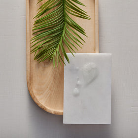 Thymes lemon leaf in kitchen setting near sink showing fresh scent for shared spaces benefit