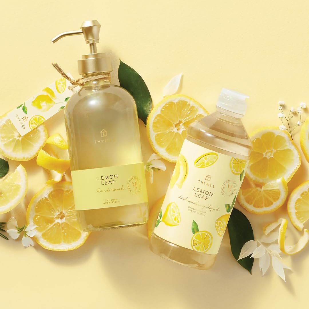 Thymes ingredients still life with leaves showing natural inspiration and sensory benefit