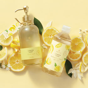 Thymes ingredients still life with leaves showing natural inspiration and sensory benefit