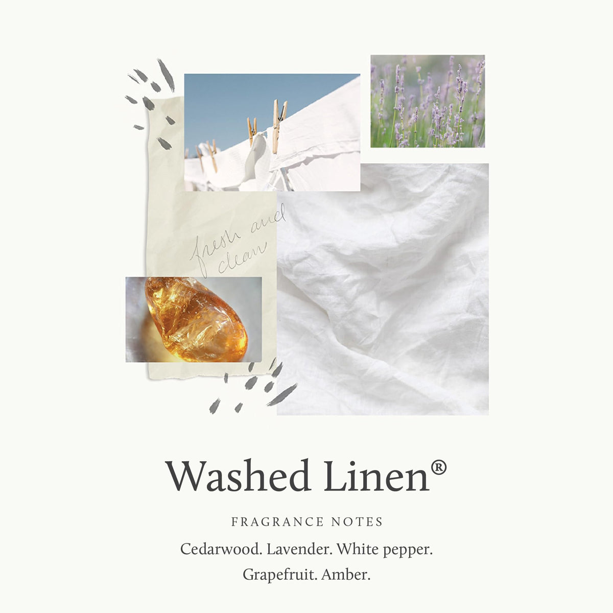 Thymes hand wash foam in palm demonstrating lather and gentle hydration