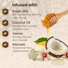 Tio Nacho ingredients flatlay with coconut and royal jelly for nourishment