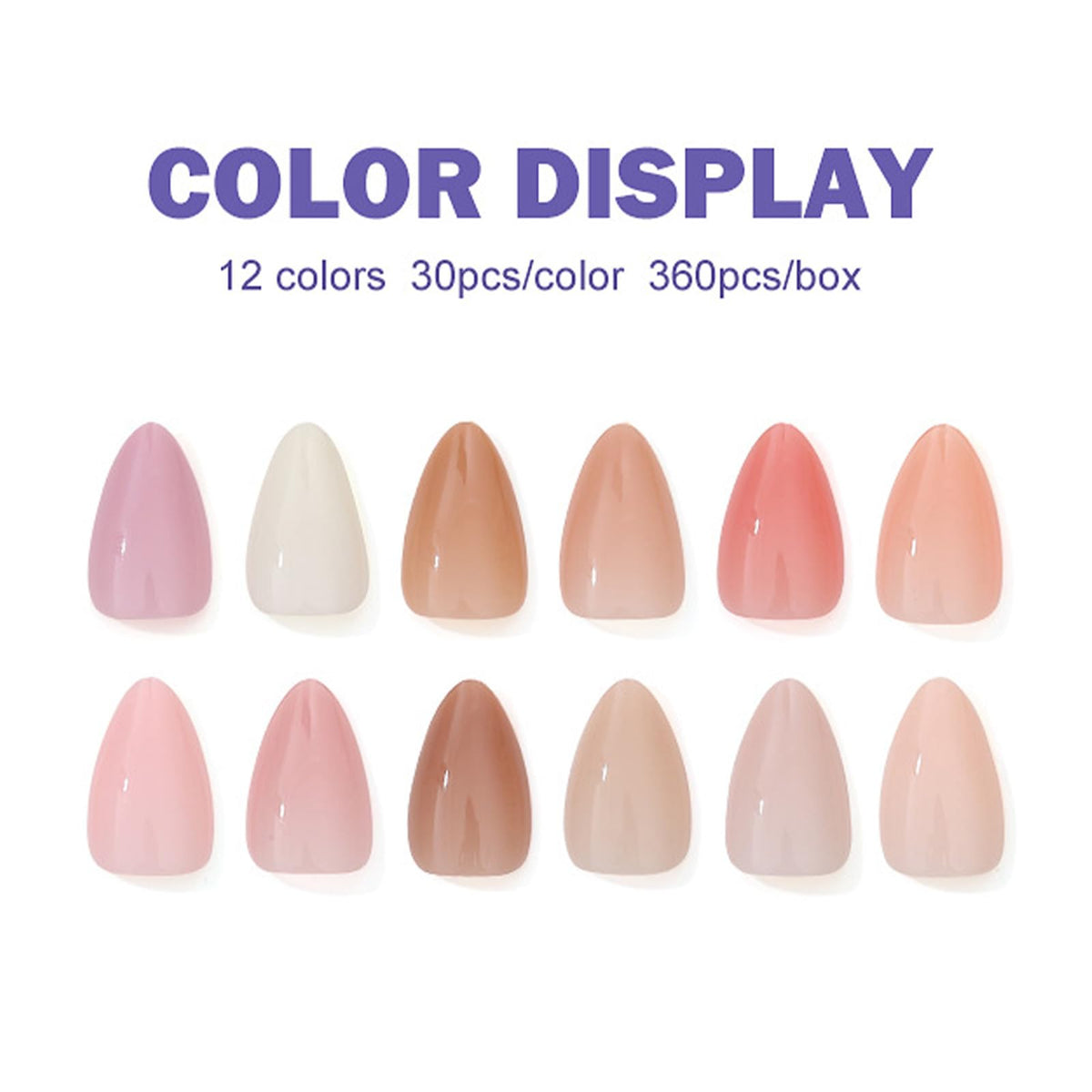 TOGZOM twelve nude color swatches displayed for easy shade selection
