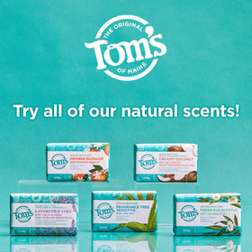 Tom's of Maine bar beside shea butter and coconut to show moisturizing botanicals