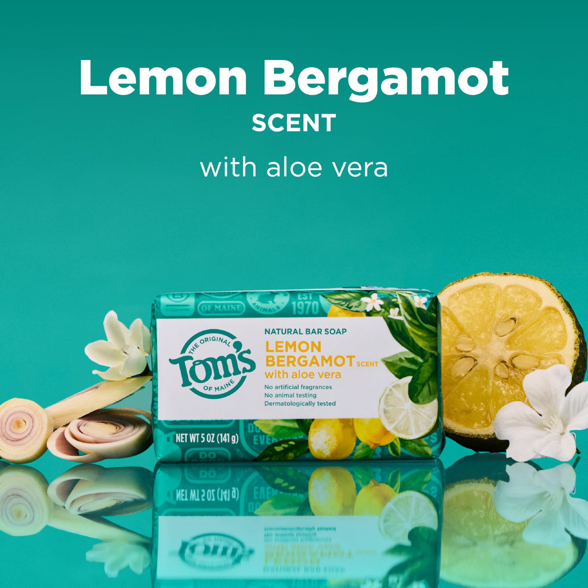 Tom's of Maine close-up of soap texture highlighting creamy lather benefit