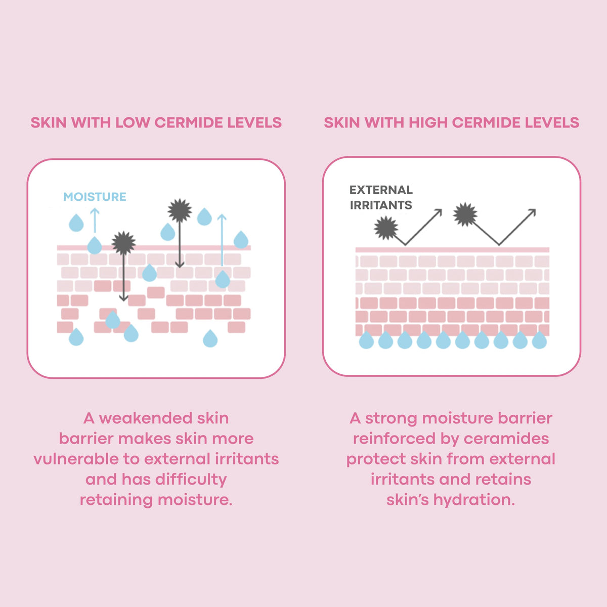 TONYMOLY product label with ingredients list highlighting ceramide content
