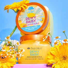 Tree Hut Dewy Daisy sugar scrub open jar close-up showing creamy sugar texture