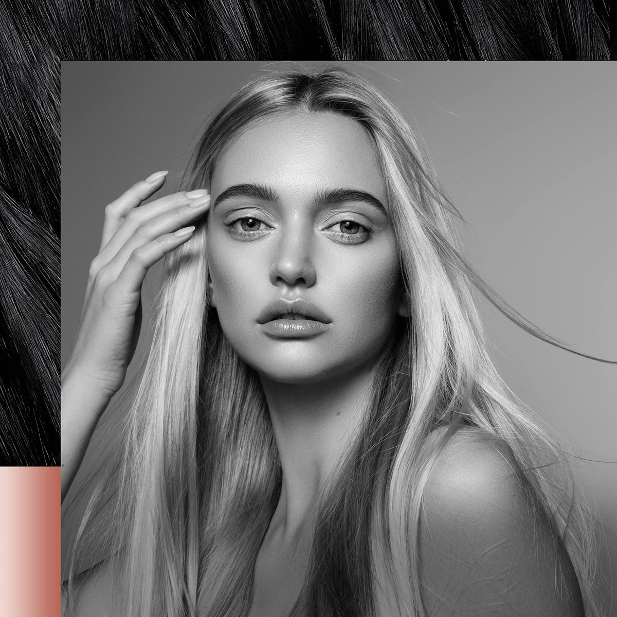 TRESemmé sulfate-free badge on packaging highlighting gentle formula and color protection