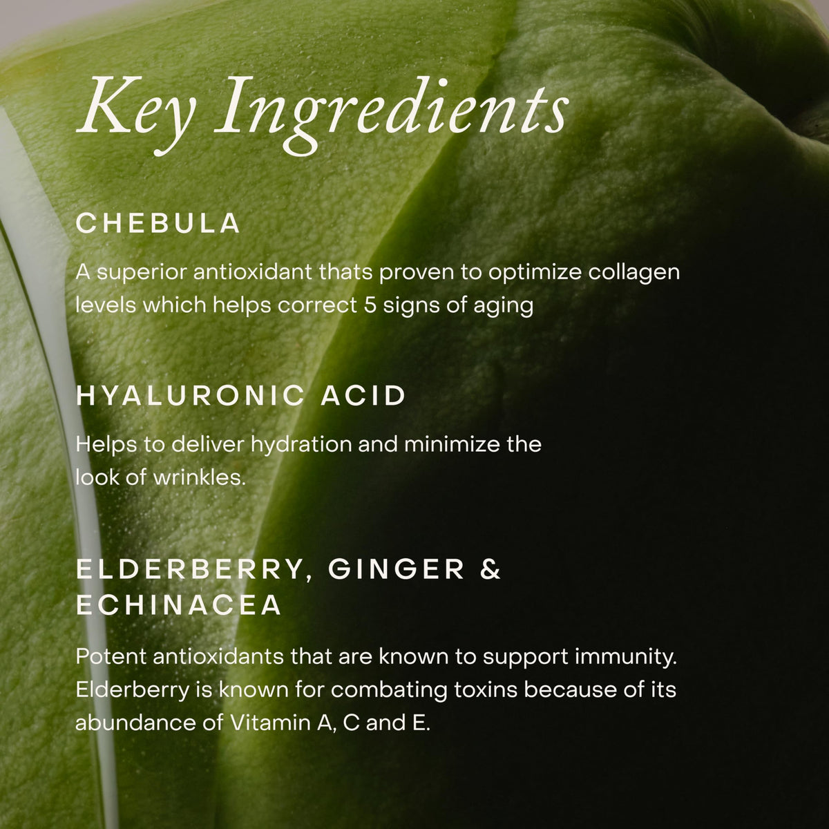True Botanicals label detail showing active ingredients and dermatologist-tested claim