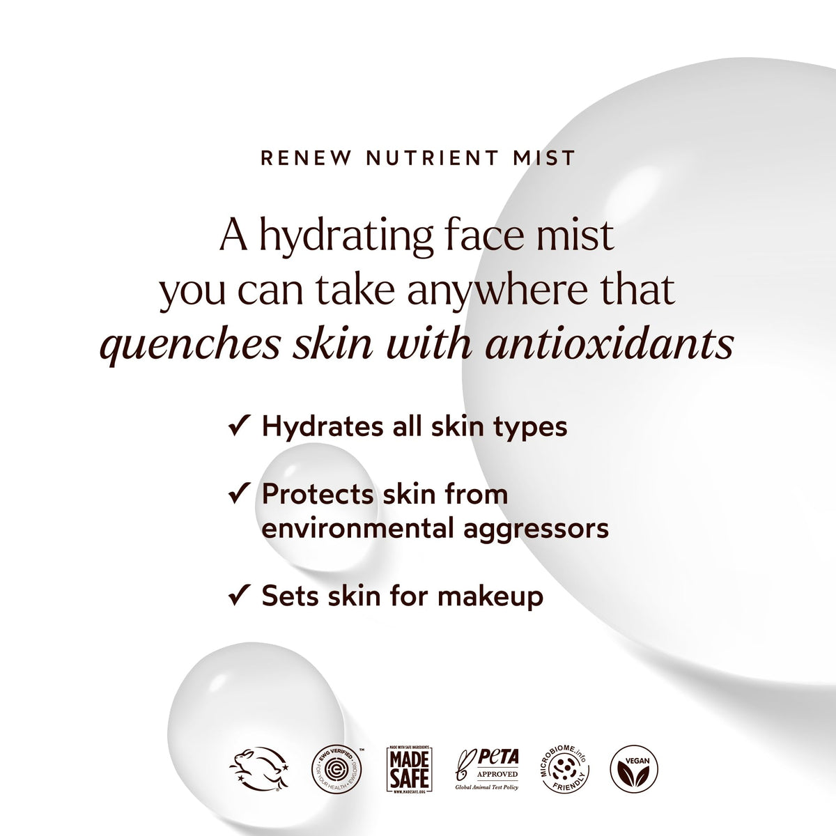 True Botanicals ingredient close-up with kombucha and algae highlighting antioxidant support