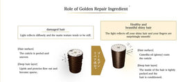 hand holding Tsubakii Premium EX bottle to show scale and travel-storage friendly 400ml/400g benefit
