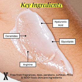 Untoxicated lotion texture on hand demonstrating fast absorption and lightweight feel