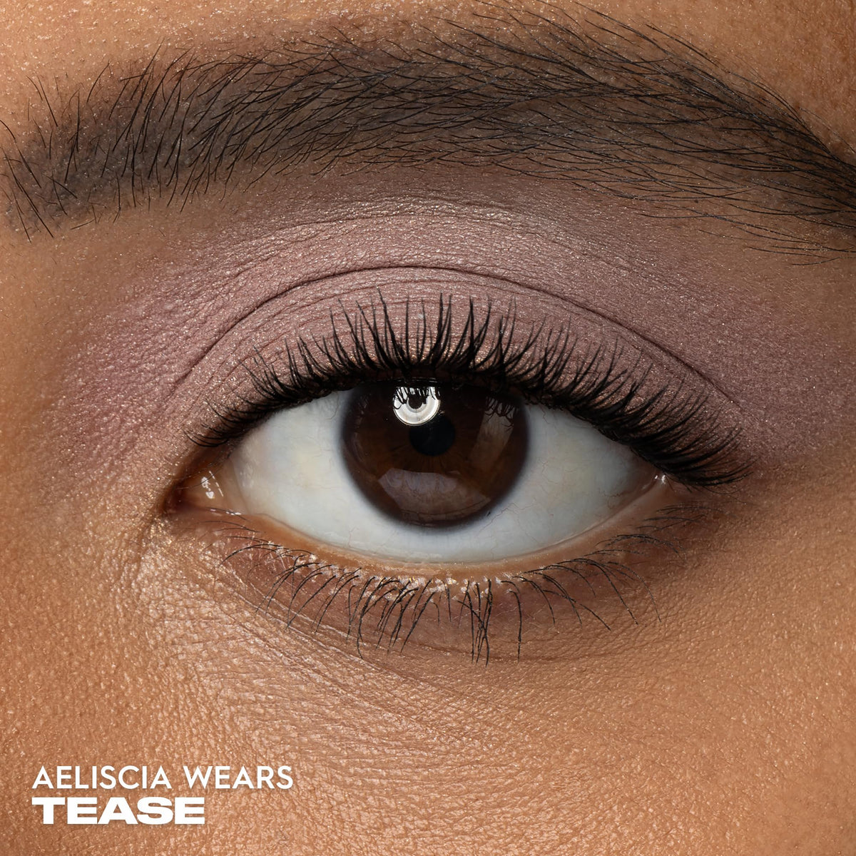 URBAN DECAY close-up of pan texture highlighting creamy matte finish and blendability